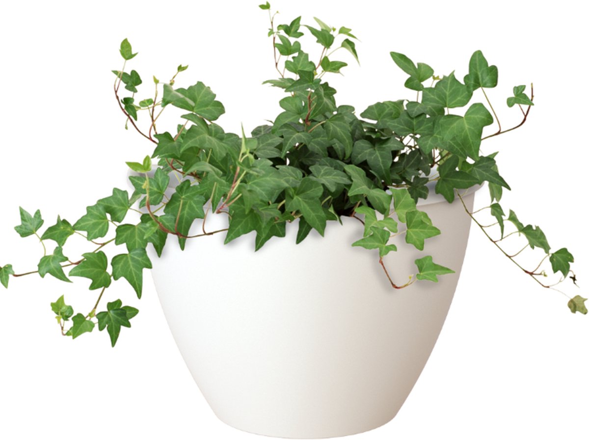 Muurpot Algarve D30Cm Wit
