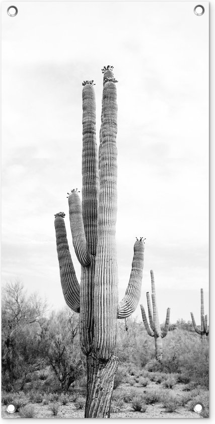 Tuinposter Cactus - Zwart wit - Natuur - Planten - 40x80 cm - Wanddecoratie Buiten - Tuinposter - Tuindoek - Schuttingposter - Tuinschilderij