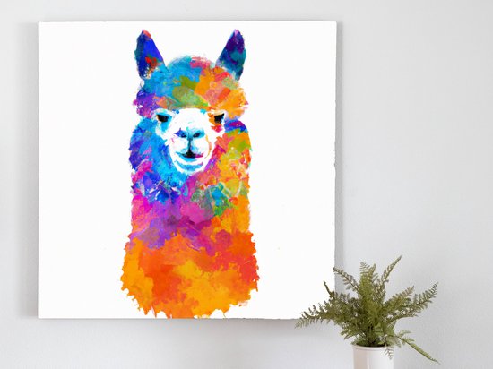 Rainbow burst alpaca | Rainbow Burst Alpaca | Kunst - 60x60 centimeter op Canvas | Foto op Canvas - wanddecoratie schilderij