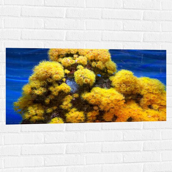 WallClassics - Muursticker - Geel Koraal op Zeebodem - 100x50 cm Foto op Muursticker