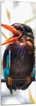 Tuinposter – Kleurrijke IJsvogel met Open Snavel Zittend op Smalle Tak - 50x150 cm Foto op Tuinposter (wanddecoratie voor buiten en binnen)