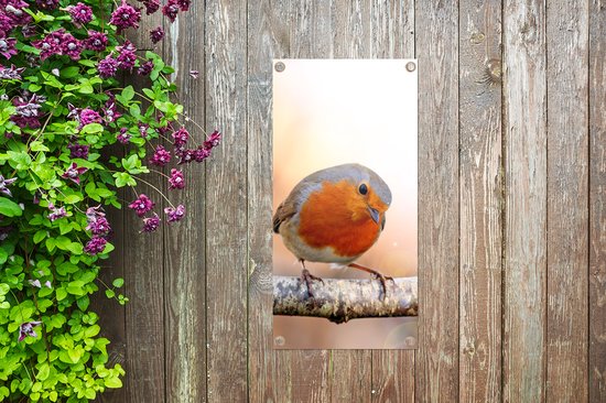 Affiche de jardin Robin - Branche - Arbre - 40x80 cm - Décoration murale Extérieur - Affiche de jardin - Toile de jardin - Affiche de clôture - Peinture de jardin