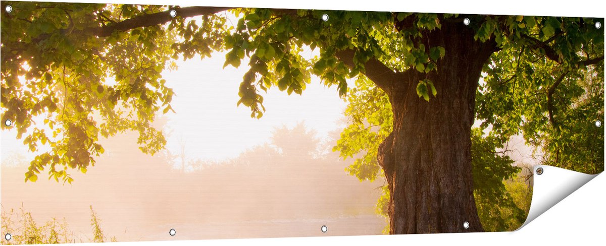 Gards Tuinposter Eikenboom aan het Water met Volle Bladeren - 180x60 cm - Tuindoek - Tuindecoratie - Wanddecoratie buiten - Tuinschilderij Multikleur