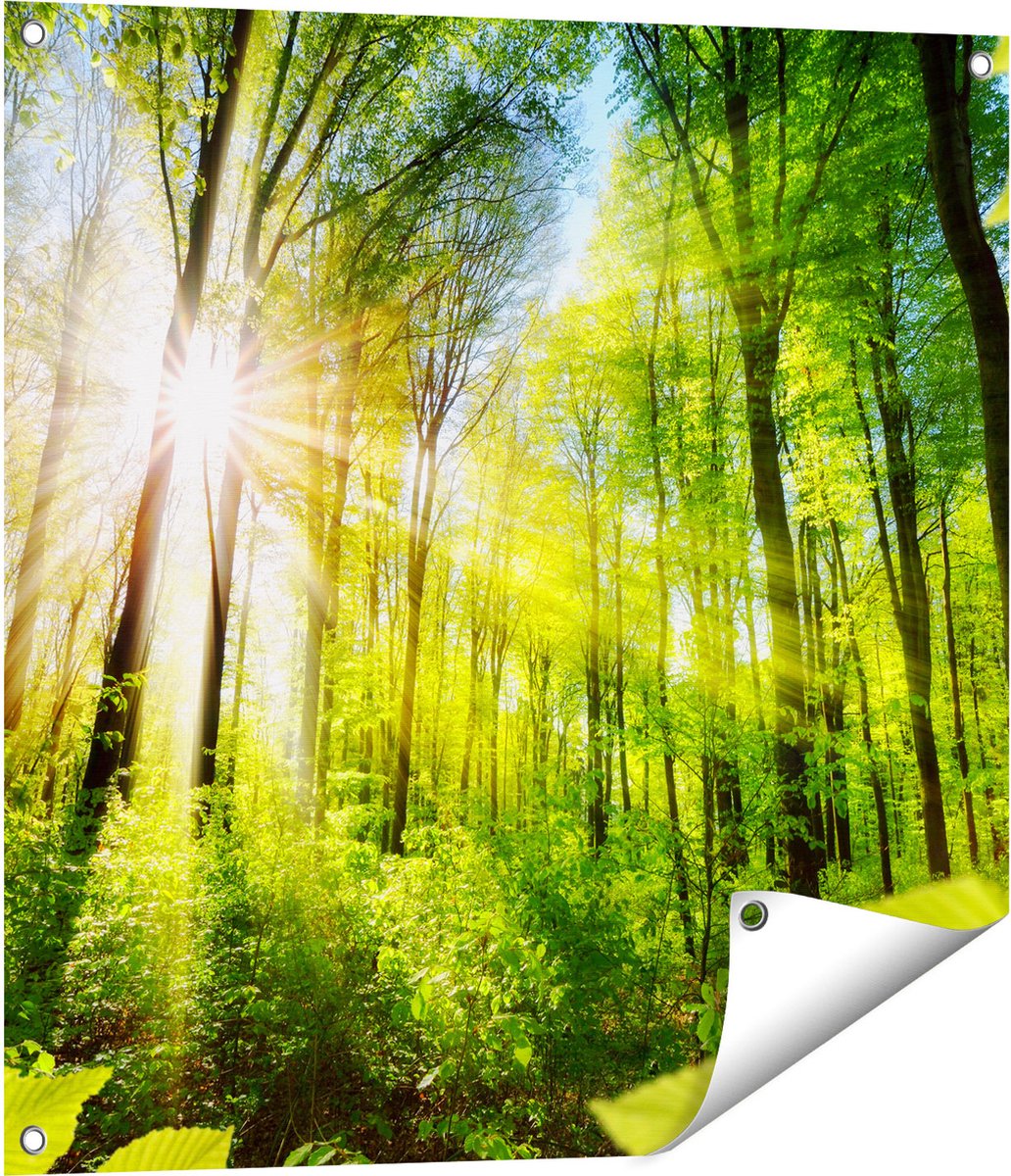 Gards Tuinposter Weg Omringd met Bomen in het Bos - 70x70 cm - Tuindoek - Tuindecoratie - Wanddecoratie buiten - Tuinschilderij Multikleur