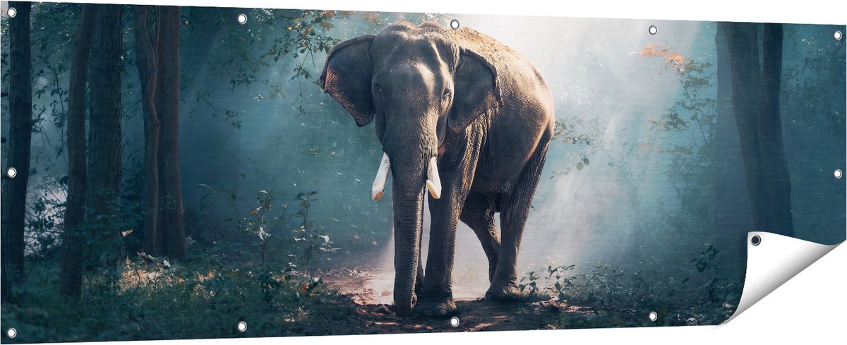 Gards Tuinposter Olifant in het Bos met Zonneschijn - 180x60 cm - Tuindoek - Tuindecoratie - Wanddecoratie buiten - Tuinschilderij Multikleur