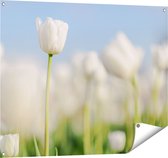 Gards Tuinposter Witte Tulpen - Bloemen - 100x80 cm - Tuindoek - Tuindecoratie - Wanddecoratie buiten - Tuinschilderij