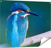 Affiche de jardin Gards Martin-pêcheur bleu sur une branche - 100x80 cm - Toile de jardin - Décoration de jardin - Décoration murale extérieure - Peinture de jardin