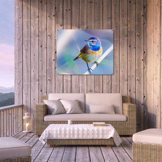 Gards Affiche de jardin Vogel Gorgebleue colorée sur une branche - 100x80 cm - Toile jardin - Décoration de jardin - Décoration murale extérieur - Tableau jardin