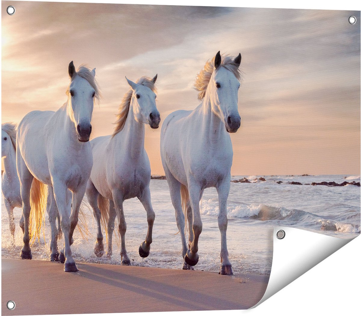 Gards Tuinposter Witte Paarden op het Strand bij Water - 80x60 cm - Tuindoek - Tuindecoratie - Wanddecoratie buiten - Tuinschilderij Multikleur