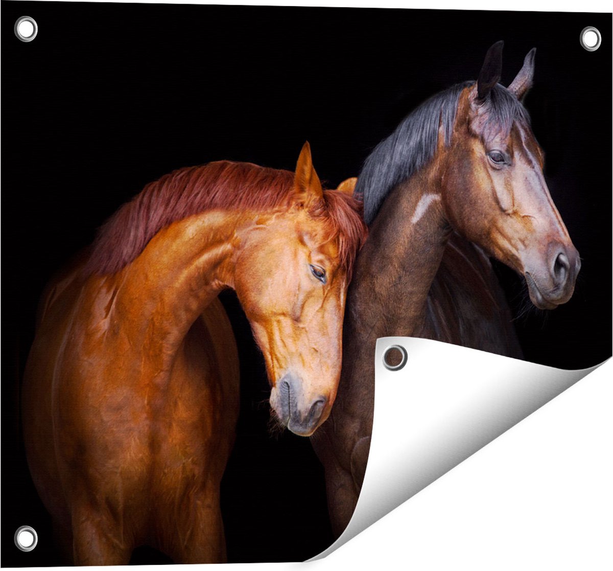 Gards Tuinposter Twee Bruine Paarden Koppel - Liefde - 50x40 cm - Tuindoek - Tuindecoratie - Wanddecoratie buiten - Tuinschilderij Multikleur