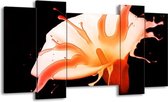 GroepArt - Schilderij - Bloem - Oranje, Zwart - 120x65 5Luik - Foto Op Canvas - GroepArt 6000+ Schilderijen 0p Canvas Art Collectie - Wanddecoratie