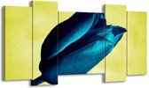 GroepArt - Schilderij - Tulp - Blauw, Zwart, Groen - 120x65 5Luik - Foto Op Canvas - GroepArt 6000+ Schilderijen 0p Canvas Art Collectie - Wanddecoratie