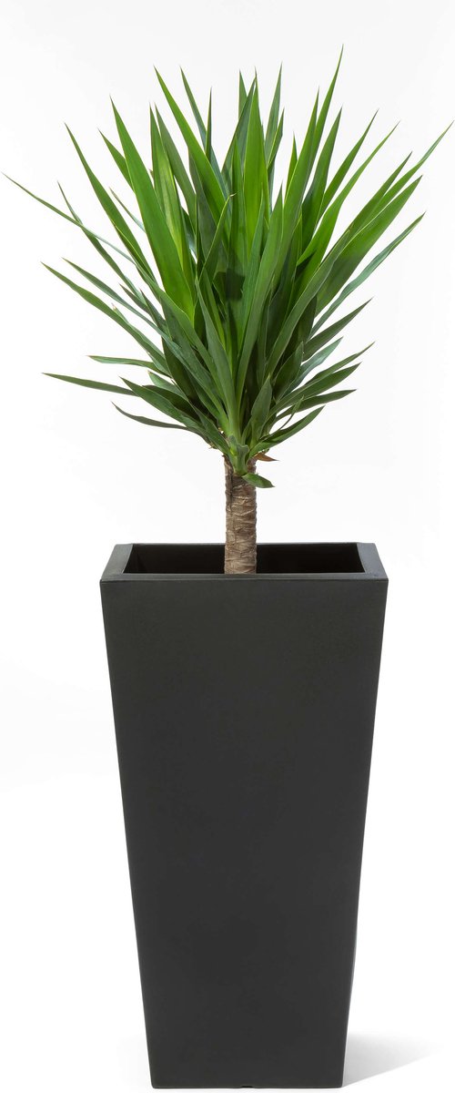 Step2 Tremont Vierkant Bloempot Groot - Plantenbak van kunststof met waterreservoir - Voor binnen & buiten - Onyx Black