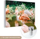 MuchoWow® Glasschilderij 150x100 cm - Schilderij acrylglas - Flamingo's staan in het water - Foto op glas - Schilderijen