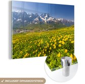 MuchoWow® Glasschilderij 60x40 cm - Schilderij acrylglas - Bloemen - Sneeuw - Alpen - Foto op glas - Schilderijen