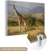 MuchoWow® Glasschilderij 60x40 cm - Schilderij acrylglas - Giraffe - Landschap - Afrika - Foto op glas - Schilderijen