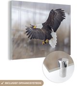 MuchoWow® Glasschilderij 80x60 cm - Schilderij acrylglas - Vogel - Zeearend - Vleugel - Foto op glas - Schilderijen