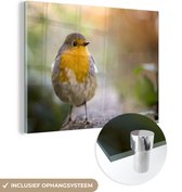 MuchoWow® Glasschilderij 120x90 cm - Schilderij acrylglas - Vogels - Roodborstje - Boom - Foto op glas - Schilderijen