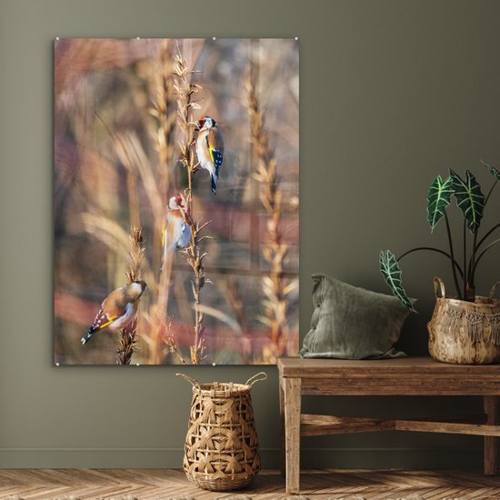 Peinture sur Verre - Vogels - Branches - Forêt - 90x120 cm - Peintures sur Verre Peintures - Photo sur Glas