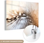 MuchoWow® Glasschilderij 90x60 cm - Schilderij acrylglas - Verenfoto zacht licht - Foto op glas - Schilderijen