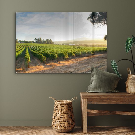 ® Glasschilderij 120x80 cm - Schilderij acrylglas - Wijngaard langs de weg - Foto op glas - Muurdecoratie woonkamer - Wanddecoratie slaapkamer - Schilderijen
