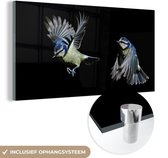 MuchoWow® Glasschilderij 160x80 cm - Schilderij acrylglas - Vogels - Veren - Zwart - Foto op glas - Schilderijen