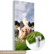 MuchoWow® Glasschilderij 80x160 cm - Schilderij acrylglas - Koeien - Gras - Wolken - Foto op glas - Schilderijen