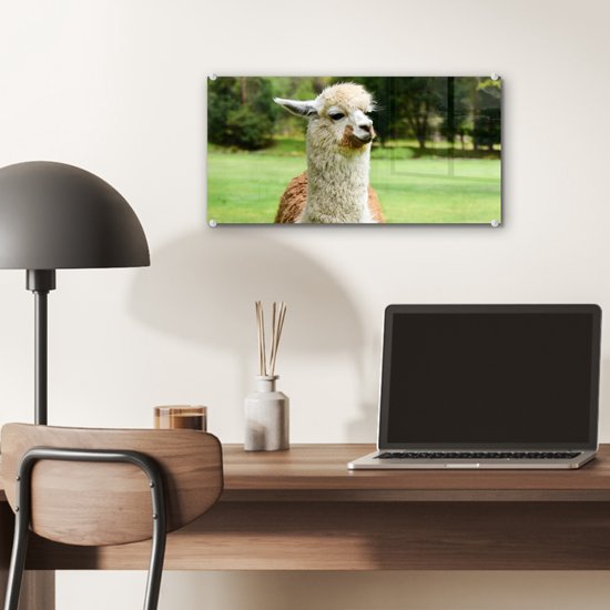 ® Glasschilderij 40x20 cm - Schilderij acrylglas - Alpaca - Wit - Bruin - Boom - Foto op glas - Muurdecoratie woonkamer - Wanddecoratie slaapkamer - Schilderijen
