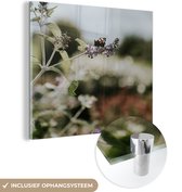 MuchoWow® Glasschilderij 20x20 cm - Schilderij acrylglas - Dagpauwoog vlinder op lavendel - Foto op glas - Schilderijen