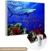 MuchoWow® Glasschilderij 150x100 cm - Schilderij acrylglas - Haai bij koraalrif - Foto op glas - Schilderijen