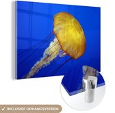 MuchoWow® Glasschilderij 150x100 cm - Schilderij acrylglas - Kwal - Zee - Geel - Foto op glas - Schilderijen