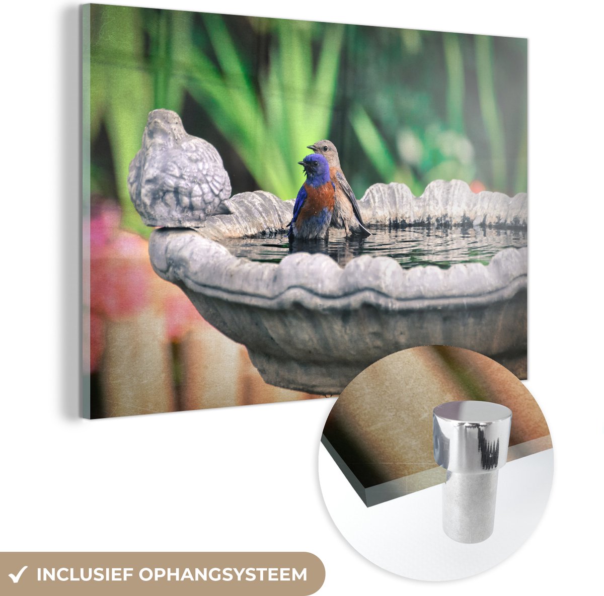 ® Glasschilderij 180x120 cm - Schilderij acrylglas - Vogel - Water - Fontein - Foto op gla