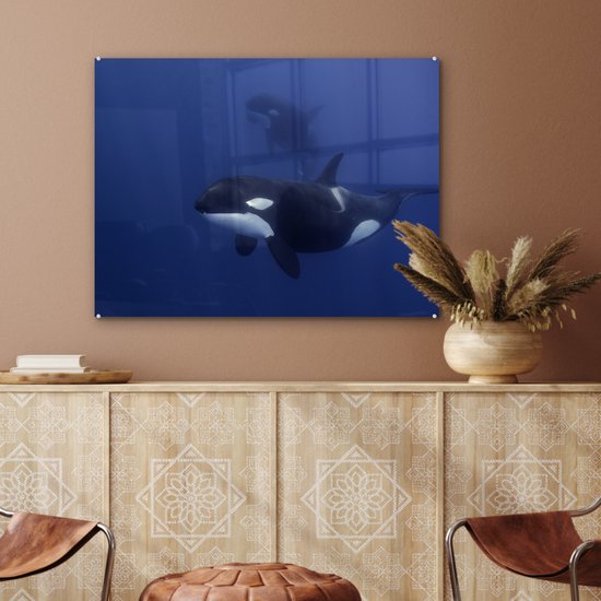 Peinture sur verre - Deux orques dans l'eau claire - 80x60 cm - Peintures acryliques - Photo sur Glas