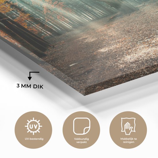 MuchoWow® Peinture sur Verre - Forêt d'Automne aux Nederland - 30x20 cm - Peintures sur Verre Acrylique - Photo sur Glas