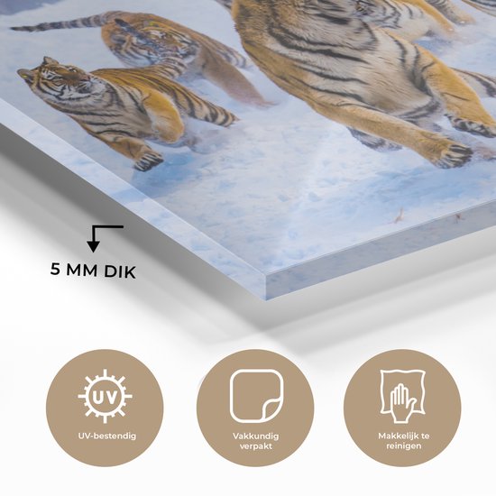 Peintures sur verre - Tigre - Neige - Animaux sauvages - Hiver - 150x100 cm - Peintures Plexiglas