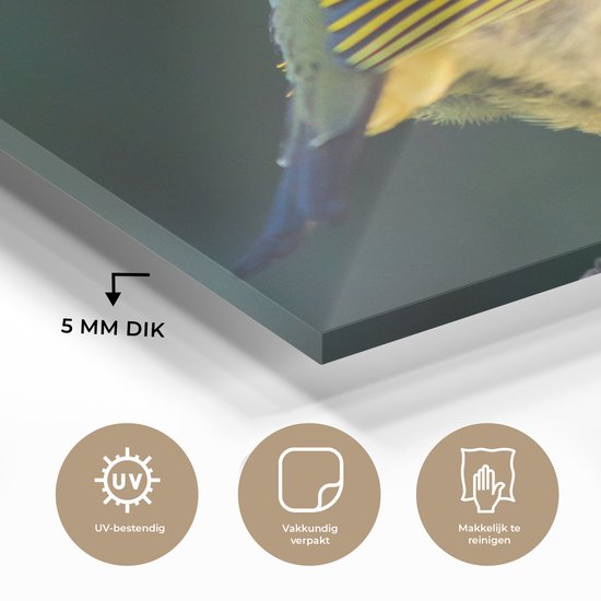 Gros plan d'un rossignol japonais en plexiglas 160x120 cm - Tirage photo sur Glas (décoration murale en plexiglas) XXL / Groot format!