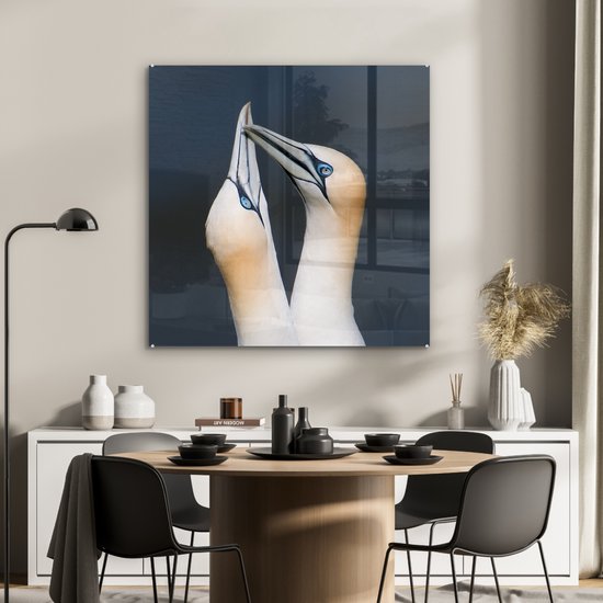 Couple de Fous de Bassan Plexiglas 90x90 cm - Tirage Photo sur Glas (Décoration murale Plexiglas)