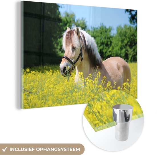 MuchoWow® Glasschilderij 30x20 cm - Schilderij acrylglas - Paard - Bloemen - Geel - Foto op glas - Schilderijen