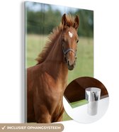 MuchoWow® Glasschilderij 90x120 cm - Schilderij acrylglas - Paard - Dier - Gras - Foto op glas - Schilderijen
