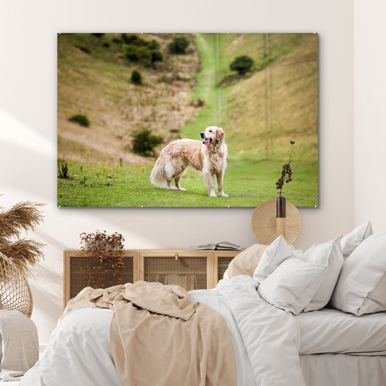 MuchoWow® Glasschilderij 180x120 cm - Schilderij acrylglas - Prachtige afbeelding van een Golden Retriever - Foto op glas - Schilderijen