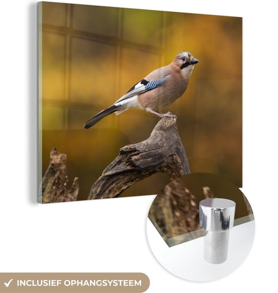 MuchoWow® Glasschilderij 80x60 cm - Schilderij acrylglas - Vogel - Tak - Vlaamse gaai - Foto op glas - Schilderijen