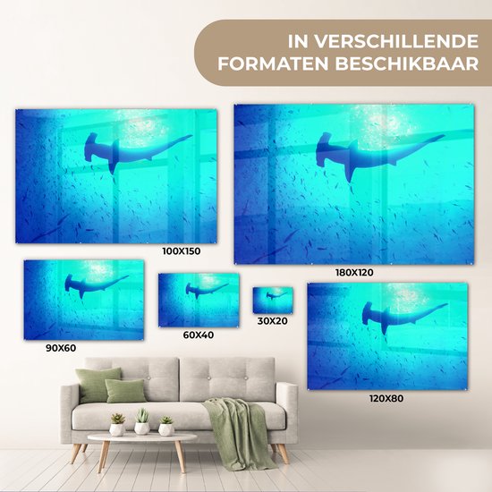 Peinture sur verre MuchoWow® 60x40 cm - Peinture acrylique sur verre - Shark -marteau (Sphyrna mokarran) parmi les poissons - Photo sur verre - Peintures