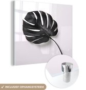 MuchoWow® Glasschilderij 20x20 cm - Schilderij acrylglas - Donker botanisch blad in het zwart op een witte achtergrond - Foto op glas - Schilderijen