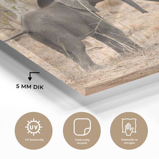 MuchoWow® Peinture sur verre - Deux jeunes éléphants - 150x100 cm - Peintures sur verre acrylique - Photo sur Glas