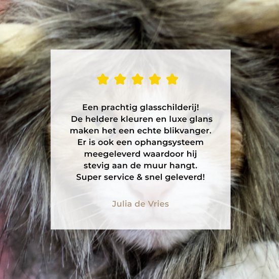 MuchoWow® Peinture sur Verre - Chat - Costume - Lion - 120x80 cm - Peintures sur Verre Acrylique - Photo sur Glas