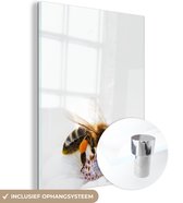 MuchoWow® Glasschilderij 120x160 cm - Schilderij acrylglas - Close-up honingbij op witte bloem - Foto op glas - Schilderijen