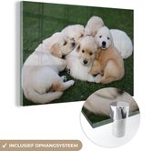 MuchoWow® Glasschilderij 120x80 cm - Schilderij acrylglas - Dieren - Puppy's - Honden - Foto op glas - Schilderijen