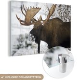 MuchoWow® Glasschilderij 180x120 cm - Schilderij acrylglas - Eland in de sneeuw - Foto op glas - Schilderijen