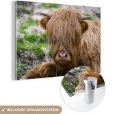 MuchoWow® Peinture sur verre 150x100 cm - Peinture sur verre acrylique - Highlander écossais - Foin - Herbe - Photo sur verre - Peintures
