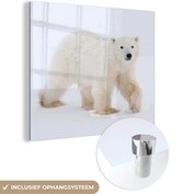 MuchoWow® Glasschilderij 20x20 cm - Schilderij acrylglas - IJsbeer - Sneeuw - Wit - Foto op glas - Schilderijen